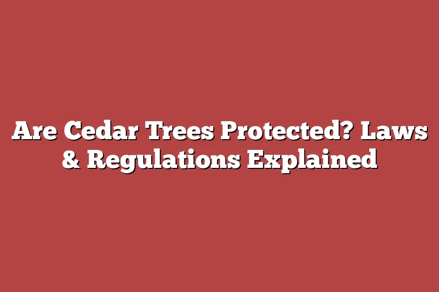 Are Cedar Trees Protected? Laws & Regulations Explained