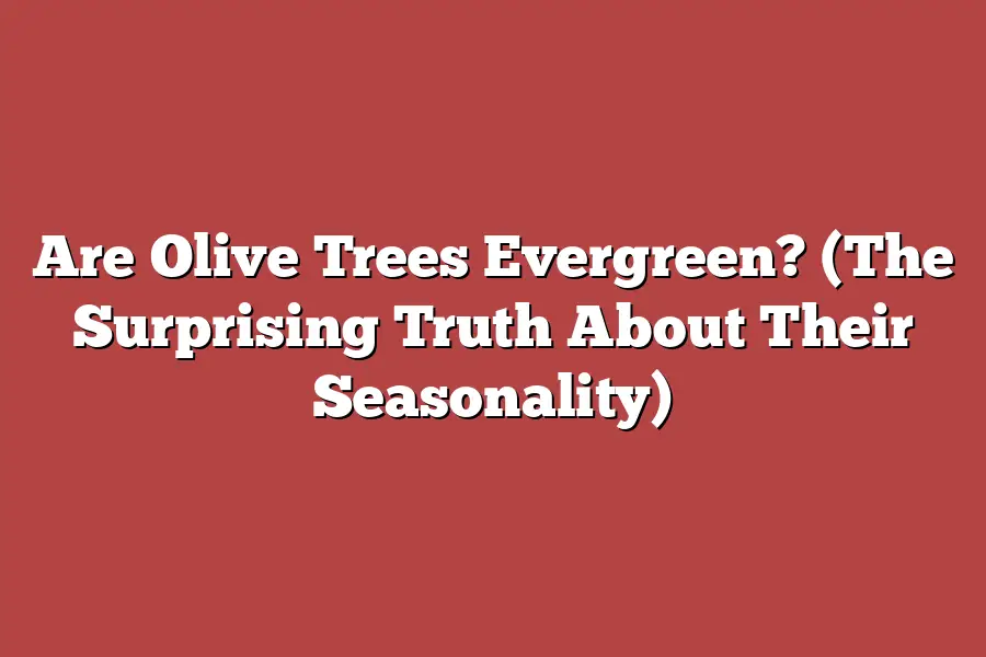 Are Olive Trees Evergreen? (The Surprising Truth About Their Seasonality)