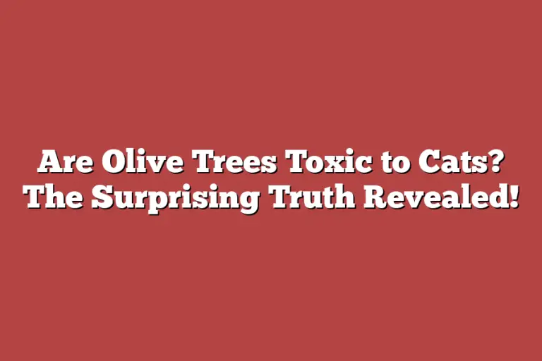Are Olive Trees Toxic to Cats? The Surprising Truth Revealed! Tree