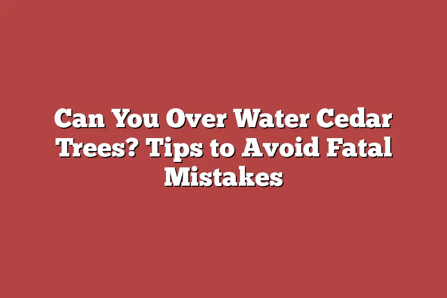 Can You Over Water Cedar Trees? Tips to Avoid Fatal Mistakes