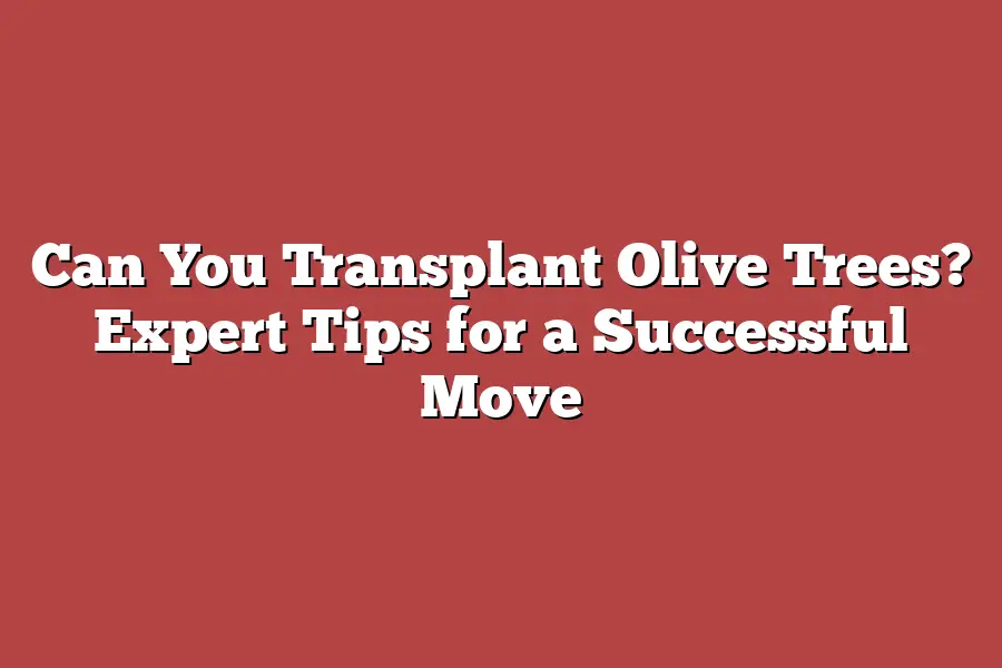 Can You Transplant Olive Trees? Expert Tips for a Successful Move