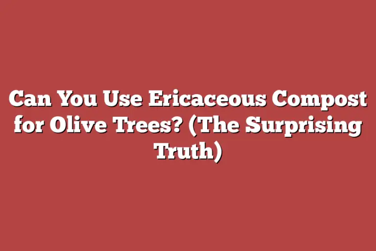 Can You Use Ericaceous Compost for Olive Trees? (The Surprising Truth