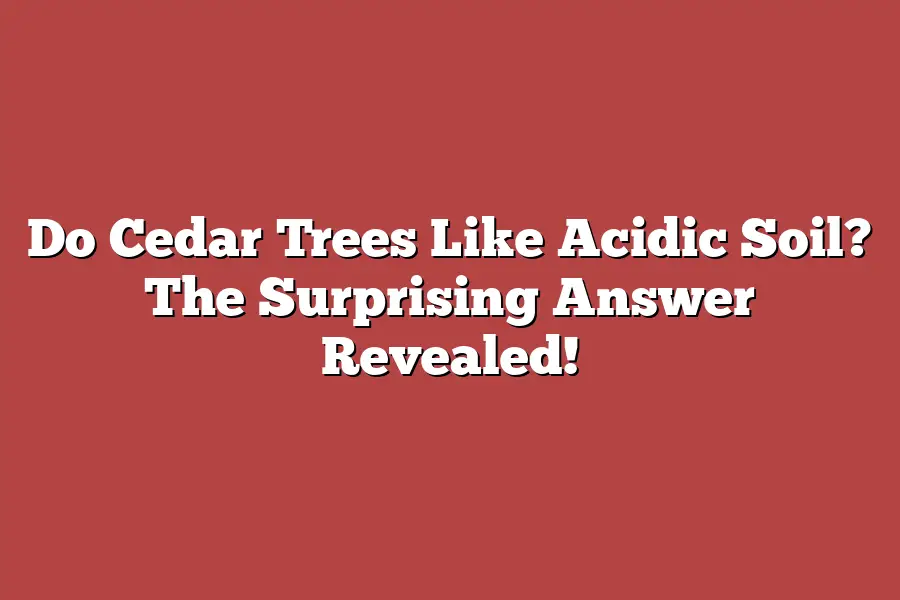 Do Cedar Trees Like Acidic Soil? The Surprising Answer Revealed!