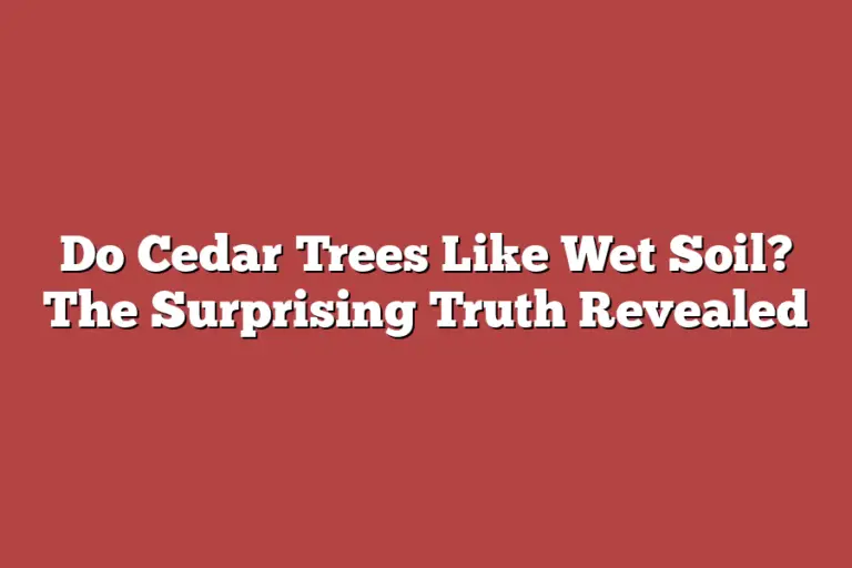 Do Cedar Trees Like Wet Soil? The Surprising Truth Revealed Tree Pursuits