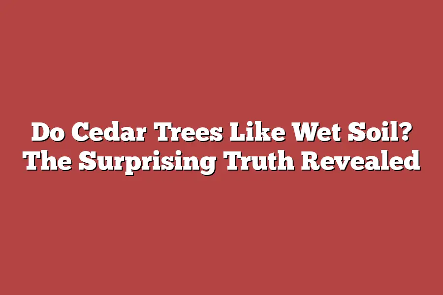 Do Cedar Trees Like Wet Soil? The Surprising Truth Revealed