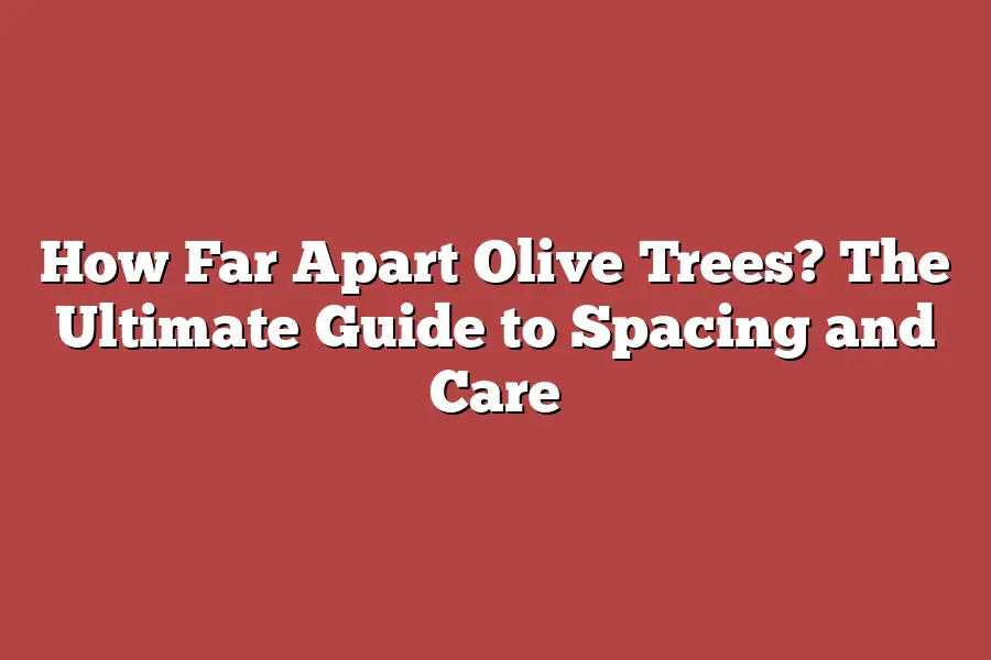 How Far Apart Olive Trees? The Ultimate Guide to Spacing and Care