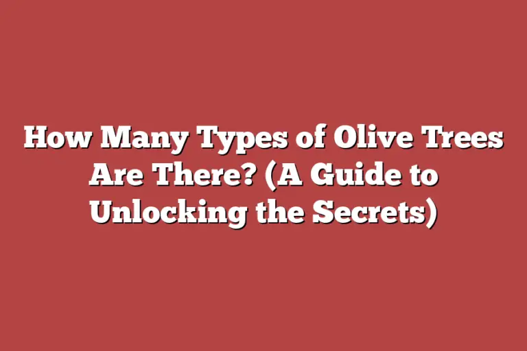 How Many Types of Olive Trees Are There? (A Guide to Unlocking the