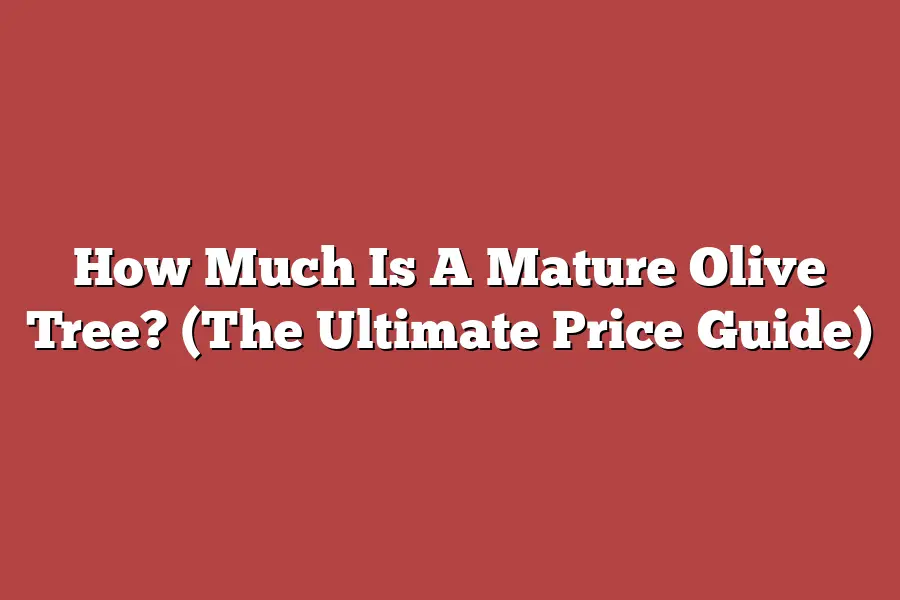 How Much Is A Mature Olive Tree? (The Ultimate Price Guide)