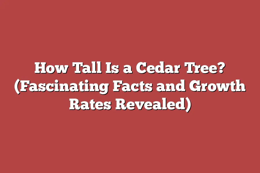 How Tall Is a Cedar Tree? (Fascinating Facts and Growth Rates Revealed)