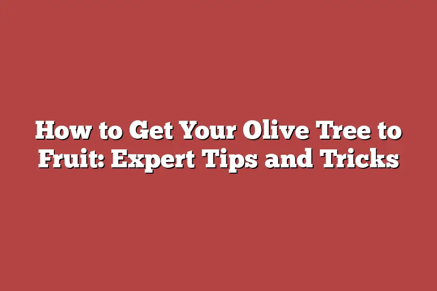 How to Get Your Olive Tree to Fruit: Expert Tips and Tricks