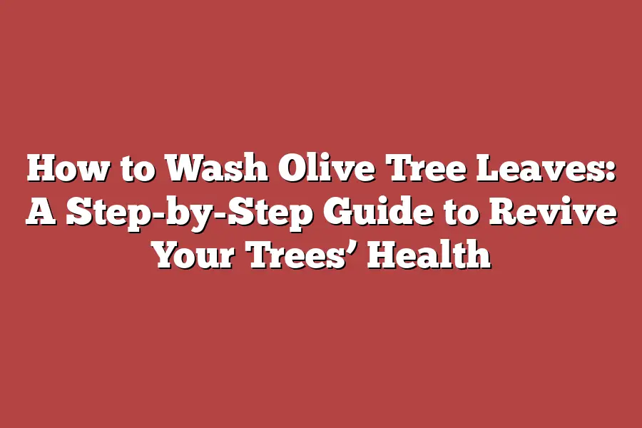 How to Wash Olive Tree Leaves: A Step-by-Step Guide to Revive Your Trees’ Health