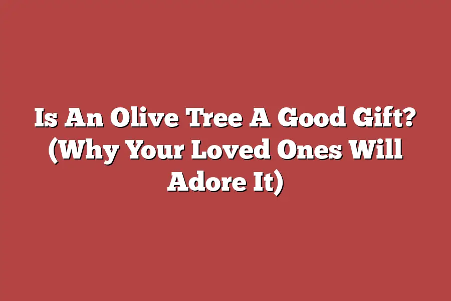 Is An Olive Tree A Good Gift? (Why Your Loved Ones Will Adore It)