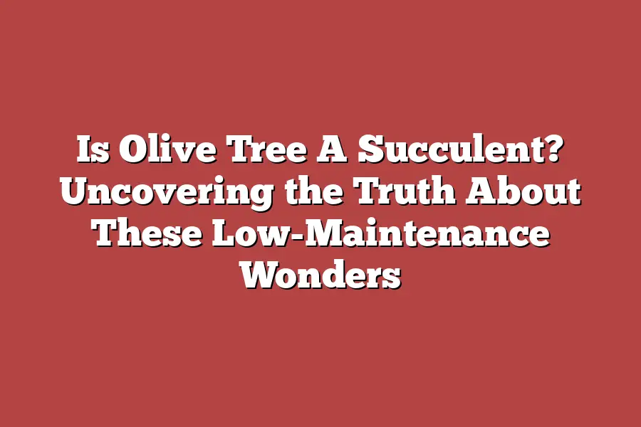 Is Olive Tree A Succulent? Uncovering the Truth About These Low-Maintenance Wonders