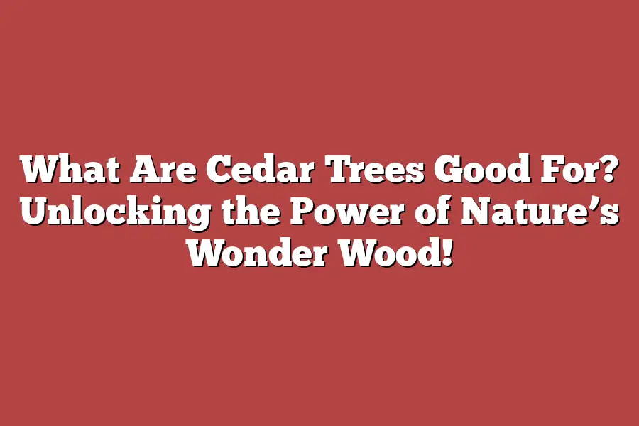 What Are Cedar Trees Good For? Unlocking the Power of Nature’s Wonder Wood!