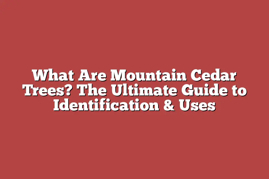 What Are Mountain Cedar Trees? The Ultimate Guide to Identification ...