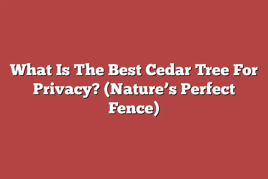 What Is The Best Cedar Tree For Privacy? (Nature’s Perfect Fence)