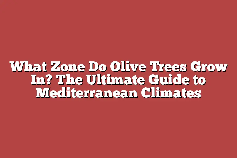 What Zone Do Olive Trees Grow In? The Ultimate Guide to Mediterranean Climates