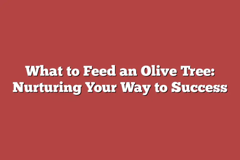 What to Feed an Olive Tree Nurturing Your Way to Success Tree Pursuits