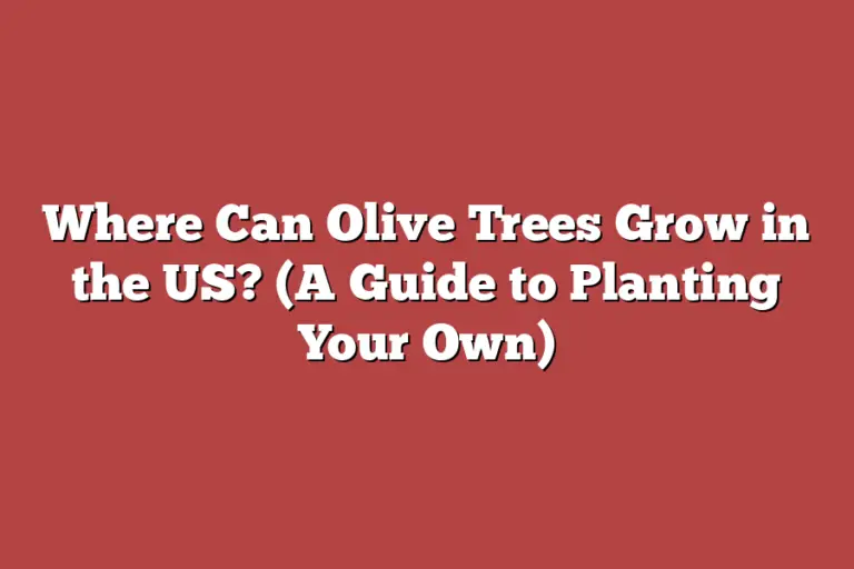 Where Can Olive Trees Grow in the US? (A Guide to Planting Your Own