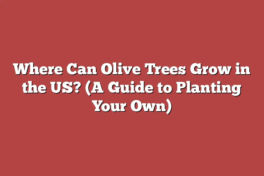 Where Can Olive Trees Grow in the US? (A Guide to Planting Your Own)