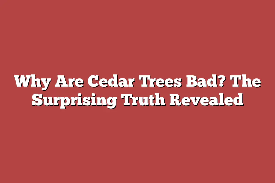 Why Are Cedar Trees Bad? The Surprising Truth Revealed