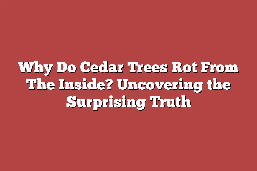 Why Do Cedar Trees Rot From The Inside? Uncovering the Surprising Truth