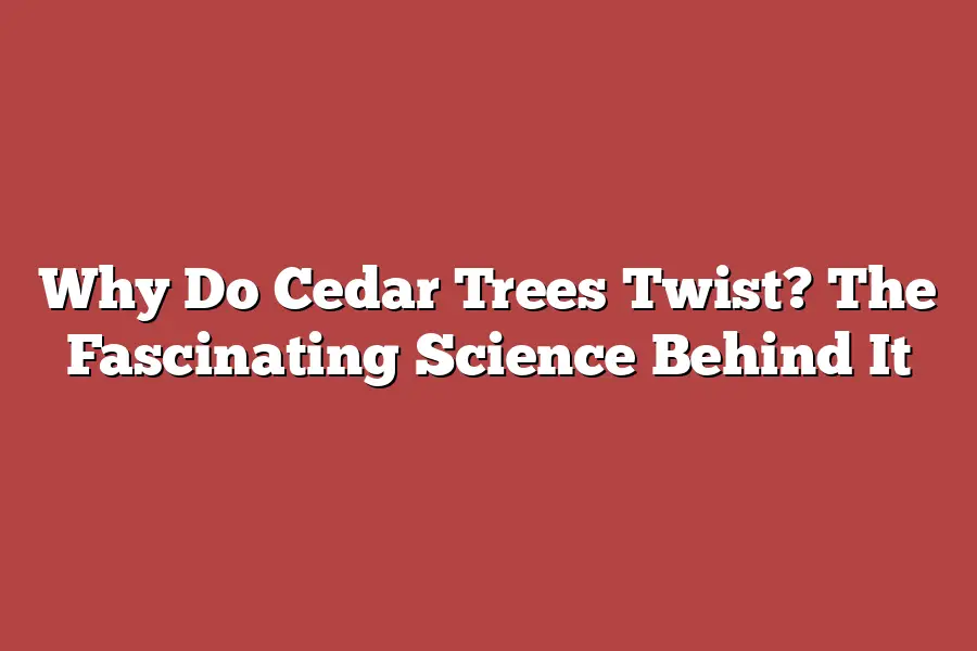 Why Do Cedar Trees Twist? The Fascinating Science Behind It