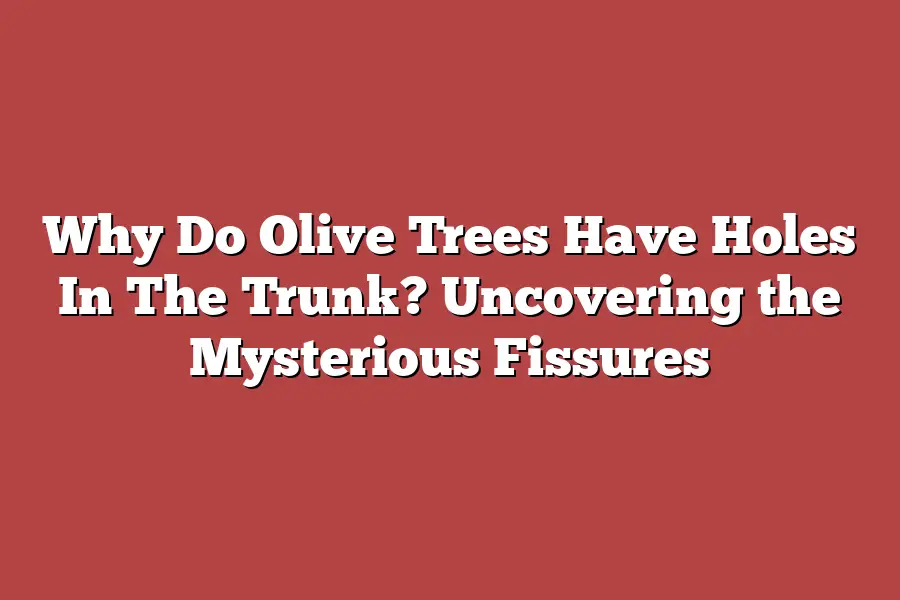 Why Do Olive Trees Have Holes In The Trunk? Uncovering the Mysterious Fissures